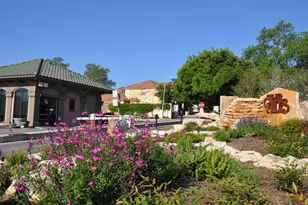 3 Crabapple Ct, The Hills, TX 78738 - Photo 33