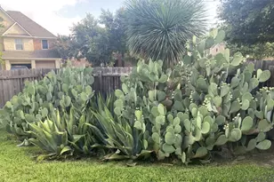 20937 Prestwick Dr, Hutto, TX 78634 - Photo 9