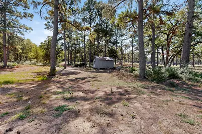 158 Fealy Road, Red Rock, TX 78662 - Photo 37