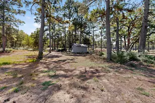 158 Fealy Rd, Red Rock, TX 78662 - Photo 37