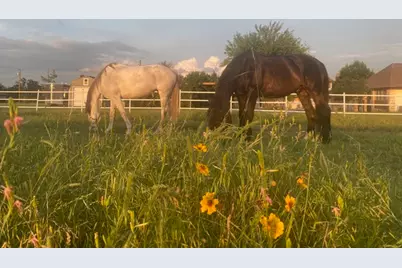 1822 Rowe Loop, Pflugerville, TX 78660 - Photo 39