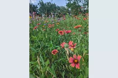 9720 Anchusa Trail, Austin, TX 78736 - Photo 37
