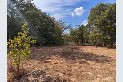 Tbd Walter Hoffman Road, Bastrop, TX 78602 - Photo 9