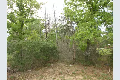 441 Tom Tom, Smithville, TX 78957 - Photo 9