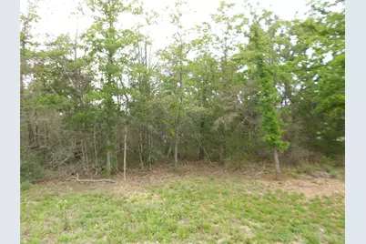 441 Tom Tom, Smithville, TX 78957 - Photo 11