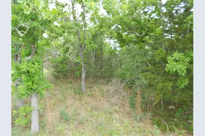 441 Tom Tom, Smithville, TX 78957 - Photo 3