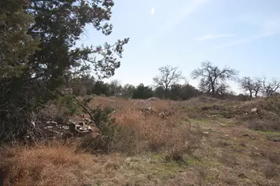 105 Daisy Lane, Dripping Springs, TX 78620 - Photo 9