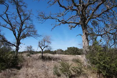 105 Daisy Lane, Dripping Springs, TX 78620 - Photo 3