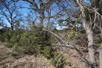 105 Daisy Lane, Dripping Springs, TX 78620 - Photo 5