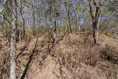 185 Billingsley Heights, Cedar Creek, TX 78612 - Photo 35