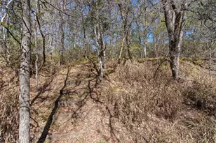 185 Billingsley Heights, Cedar Creek, TX 78612 - Photo 35