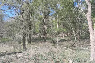 130 W Keomuku Ln, Bastrop, TX 78602 - Photo 1