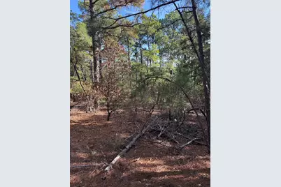 106 Llio Court, Bastrop, TX 78602 - Photo 5