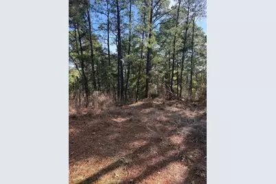 106 Llio Court, Bastrop, TX 78602 - Photo 1