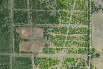 Tbd Lot 1 Young Lane, Lockhart, TX 78662 - Photo 3