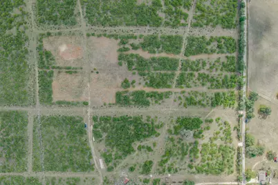 Tbd Lot 1 Young Lane, Lockhart, TX 78662 - Photo 5