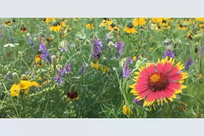 1007 Hidden Hills Drive, Dripping Springs, TX 78620 - Photo 31