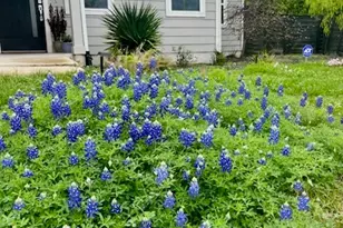 3101 Sunnylawn Cir, Austin, TX 78723 - Photo 31