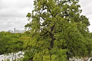 1514 Parker Ln, Austin, TX 78741 - Photo 23