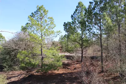 736 Highway 21 Highway E, Bastrop, TX 78602 - Photo 15