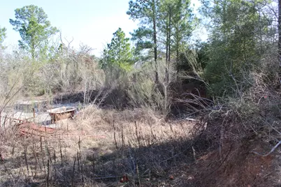 736 Highway 21 Highway E, Bastrop, TX 78602 - Photo 9