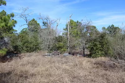 736 Highway 21 Highway E, Bastrop, TX 78602 - Photo 21