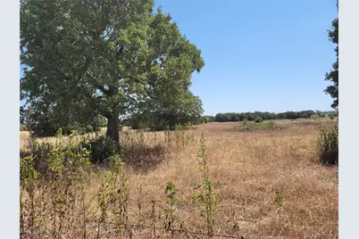 000 Brown Road, McDade, TX 78650 - Photo 9