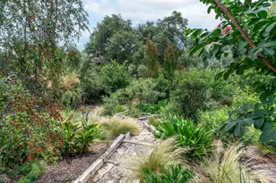 11801 Doonesbury Cove, Austin, TX 78758 - Photo 31