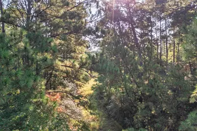 0 Akaloa Drive, Bastrop, TX 78602 - Photo 23