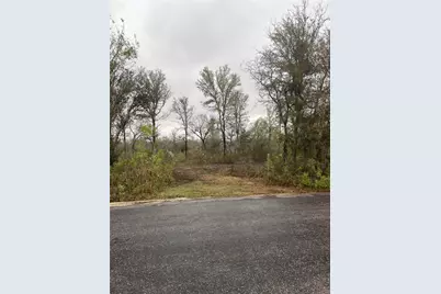 0000 Balch Road, Elgin, TX 78621 - Photo 1