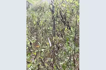 0000 Balch Road, Elgin, TX 78621 - Photo 3