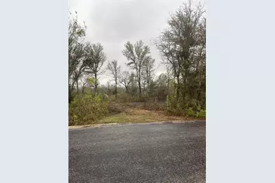 0000 Balch Road, Elgin, TX 78621 - Photo 1