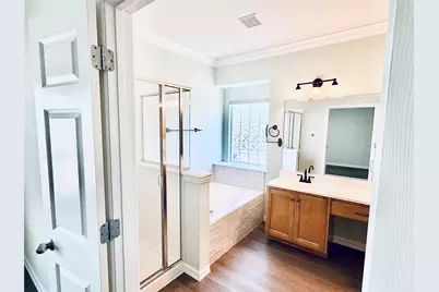 157 Amber Ash Drive, Kyle, TX 78640 - Photo 19