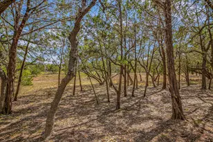 175 Fischer Trail, Wimberley, TX 78676 - Photo 29