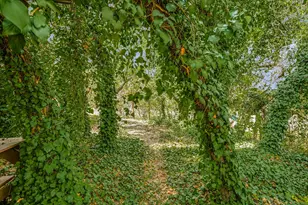 175 Fischer Trail, Wimberley, TX 78676 - Photo 17