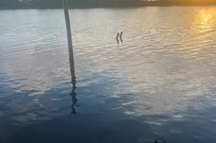 1836 County Road 206 Dr, Bay City, TX 77414 - Photo 1