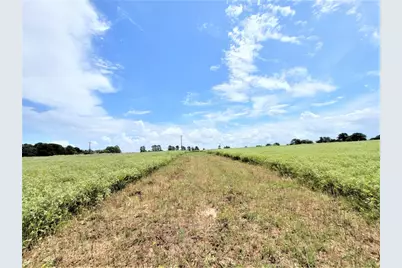 1450 Cattlemens Row #Tract 3, Lockhart, TX 78644 - Photo 7