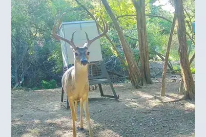 281 Kloster Lane, Blanco, TX 78606 - Photo 37