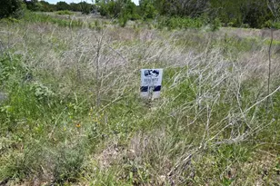 Lot 41 Serenity Dr, Bertram, TX 78605 - Photo 3