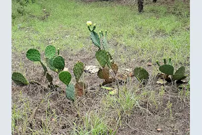 250 E Ridgewood Road, Georgetown, TX 78633 - Photo 15