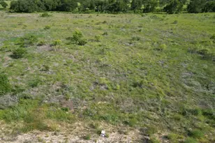 Lot 33 Serenity Dr, Bertram, TX 78605 - Photo 3