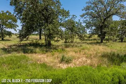 250 Ferguson Loop, Dale, TX 78616 - Photo 9