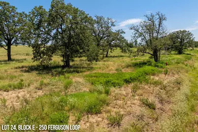 250 Ferguson Loop, Dale, TX 78616 - Photo 7