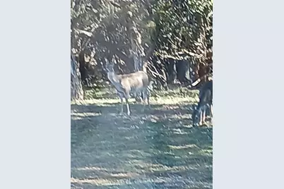 15107 Chaparral Drive, Leander, TX 78641 - Photo 25