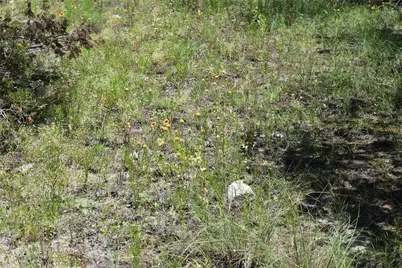 122 Reserve Way, Lampasas, TX 76550 - Photo 13