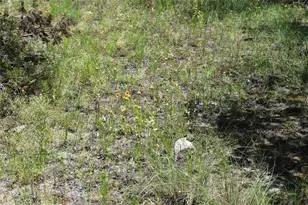 122 Reserve Wy, Lampasas, TX 76550 - Photo 13