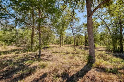 532 Peach Creek Road, Rosanky, TX 78953 - Photo 13