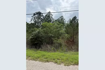 Lot 1360 N Kuapo Drive, Bastrop, TX 78602 - Photo 3
