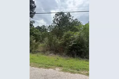 Lot 1360 N Kuapo Drive, Bastrop, TX 78602 - Photo 1