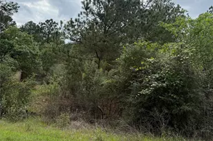 Lot 1360 N Kuapo Dr, Bastrop, TX 78602 - Photo 1